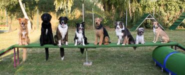 ths for fun aufderstange