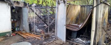 Brand auf dem Hundeplatz