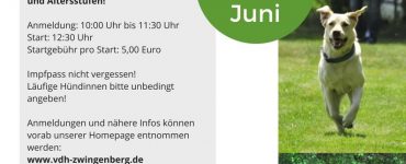 Hunderennen 2017